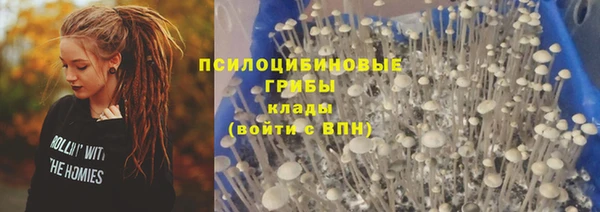 мет Абаза